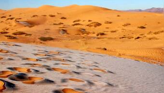 Fifth time in 42 years: Why snowfall has blanketed sand dunes of Sahara desert