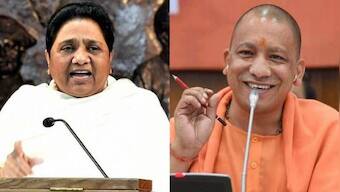 UP Assembly elections: Mayawati faces off with Yogi Adityanath over Gorakhpur 'math': What the row is all about