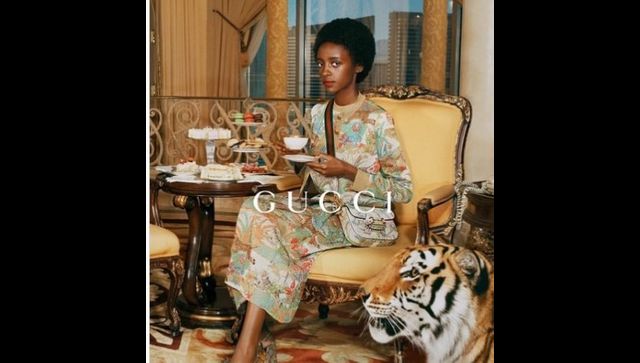 Gucci criticised for using real tigers in recent ad campaign; check what Carole Baskin said Gucci criticised for using real tigers in recent ad campaign; check what Carole Baskin said