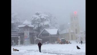 Watch: Snowfall enhances beauty of Shimla, internet compares hill station with Switzerland