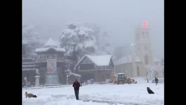 Watch: Snowfall enhances beauty of Shimla, internet compares hill station with Switzerland