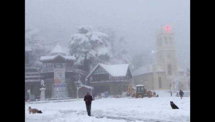 Watch: Snowfall enhances beauty of Shimla, internet compares hill station with Switzerland
