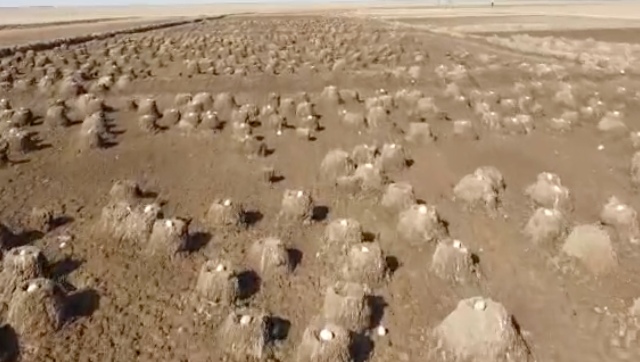 Watch: Flamingoes’ nesting area in Rann of Kutch amazes social media users, see viral video here Watch: Flamingoes’ nesting area in Rann of Kutch amazes social media users, see viral video here