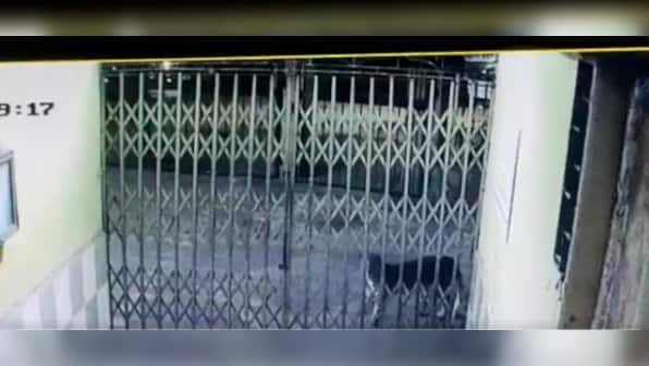 Leopard roams freely outside Mumbai colony, watch videos here