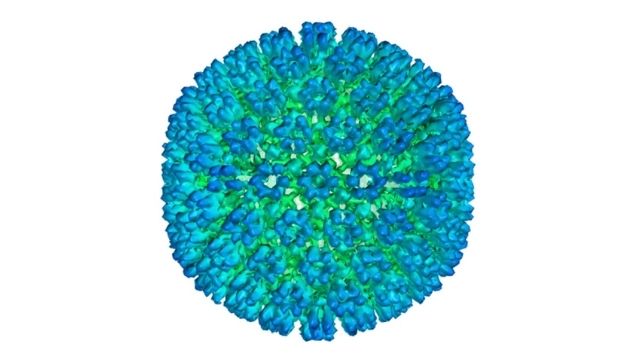 Epstein-Barr virus may be leading cause of multiple sclerosis, suggests study Epstein-Barr virus may be leading cause of multiple sclerosis, suggests study