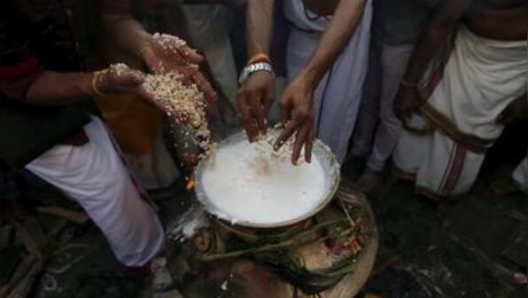 Happy Pongal 2022: All you need to know about timings, date and rituals of four-day festival