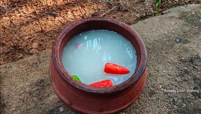 Ice biryani