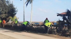 First aid flights leave for Tonga five days after devastating volcanic eruption