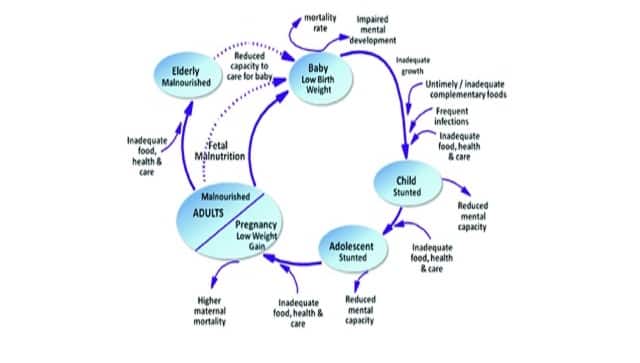 Figure 1: Poor Nutrition throughout the life cycle