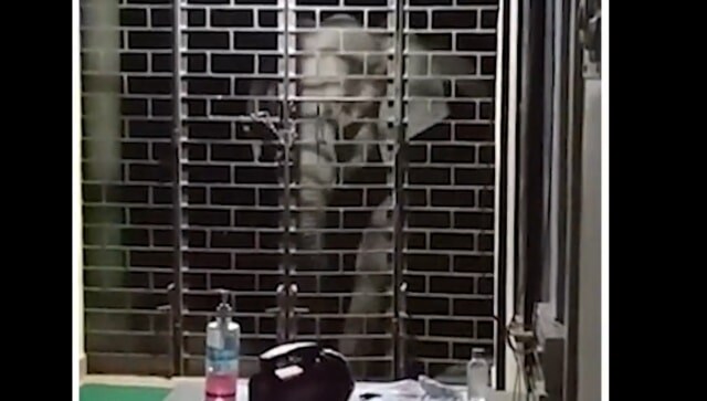 Kerala: Mother elephant, calf barge into police station; watch what happens next Kerala: Mother elephant, calf barge into police station; watch what happens next