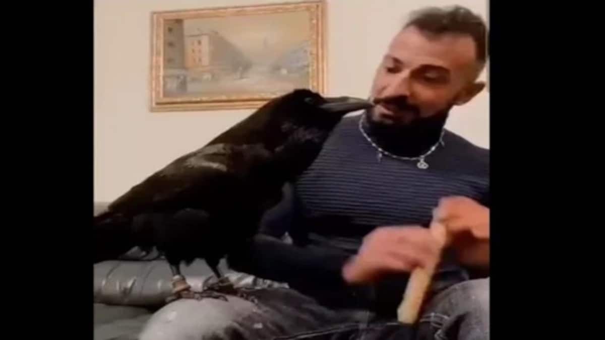 Watch Man plays flute while raven sings along; this adorable video