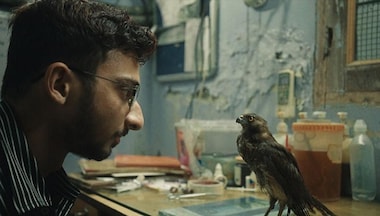 Sundance Film Festival 2022: Shaunak Sen's documentary All That Breathes wins top honour