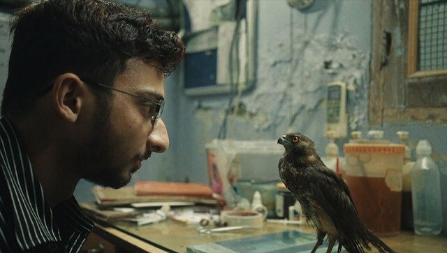 Sundance Film Festival 2022: Shaunak Sen's documentary All That Breathes wins top honour Sundance Film Festival 2022: Shaunak Sen's documentary All That Breathes wins top honour