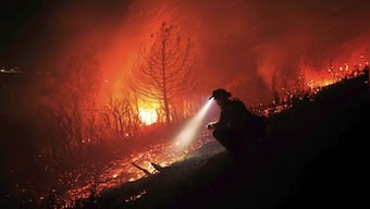 Wildfires to get more frequent, more intense, says UNEP report: What you need to know