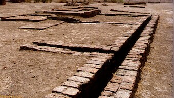 DNA samples from two human skeletons found in burial pits at Harappan-era Rakhigarhi sent for analysis