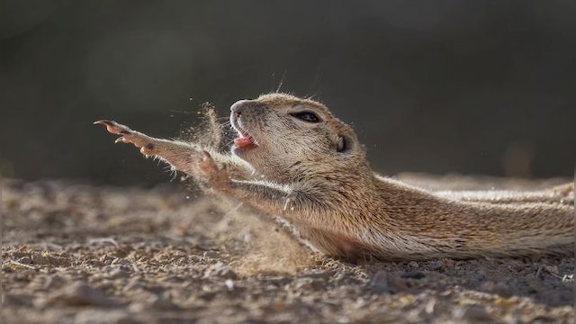 Firstpost