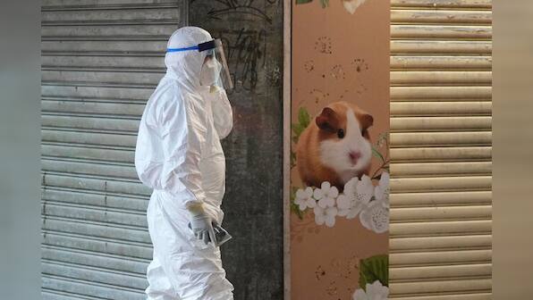 Hong Kong to cull 2,000 animals after hamsters at a pet store test COVID positive
