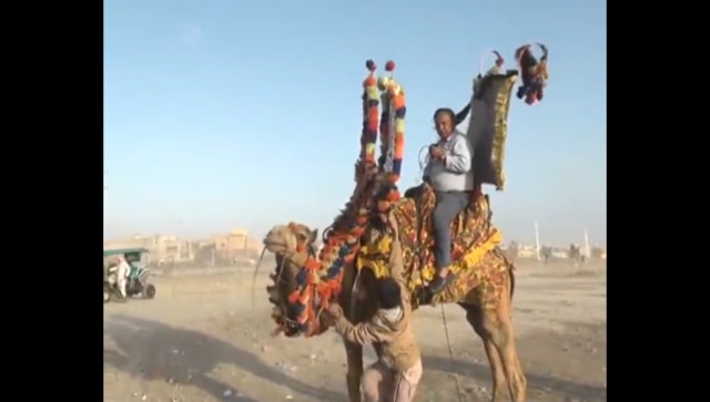 Pakistan journalist Chand Nawab reporting about Karachi weather riding a camel goes viral, watch here Pakistan journalist Chand Nawab reporting about Karachi weather riding a camel goes viral, watch here