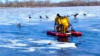 USA: Somerville firefighters rescue swan found frozen in Mystic River, see pictures here