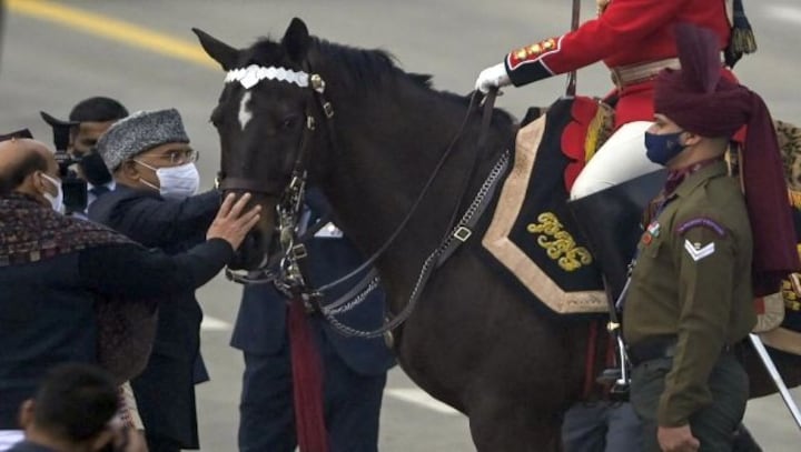 Republic Day 2022: Virat retires after years of service; a look back at elite horse of President's Bodyguard