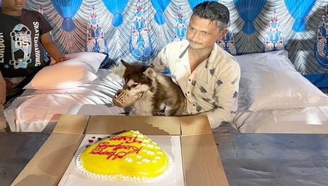Man celebrates pet dog’s birthday by feeding biryani to 150 people Man celebrates pet dog’s birthday by feeding biryani to 150 people