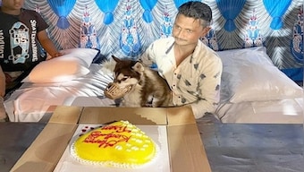 Man celebrates pet dog’s birthday by feeding biryani to 150 people