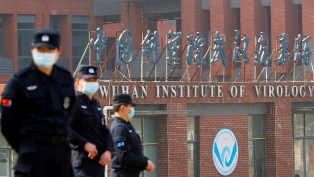 NeoCov, new kind of coronavirus that spreads among bats, may pose threat to humans in future, warn Wuhan scientists NeoCov, new kind of coronavirus that spreads among bats, may pose threat to humans in future, warn Wuhan scientists