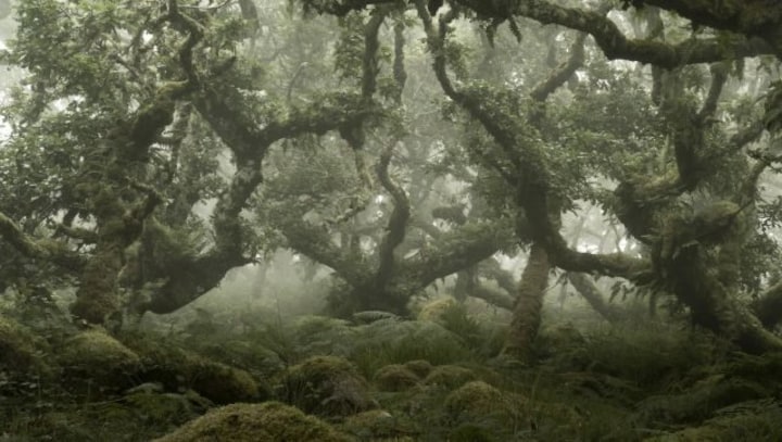 Magical woods and fiery volcanos: Feast your eyes on the best landscape photography