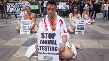 Switzerland rejects animal testing ban: Understanding the practice and laws protecting animals around world