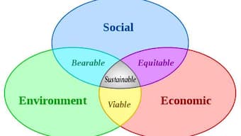 Opinion | Why this is the right time to follow green economy in India