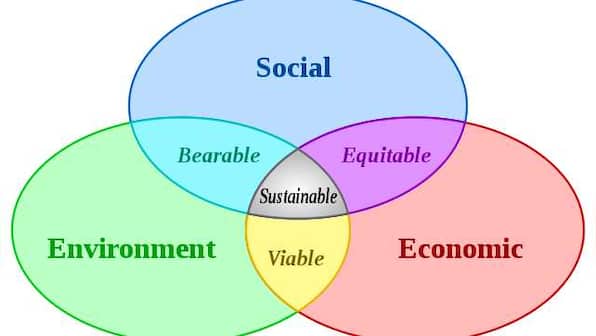 Opinion | Why this is the right time to follow green economy in India