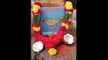 Karnataka: Villagers bid adieu to little chirp that brightened their days