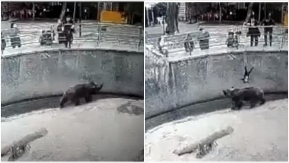 Caught on camera: Mother drops 3-year-old daughter into bear enclosure in Uzbekistan zoo