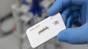 The truth behind Boston University’s new COVID strain with 80% kill rate