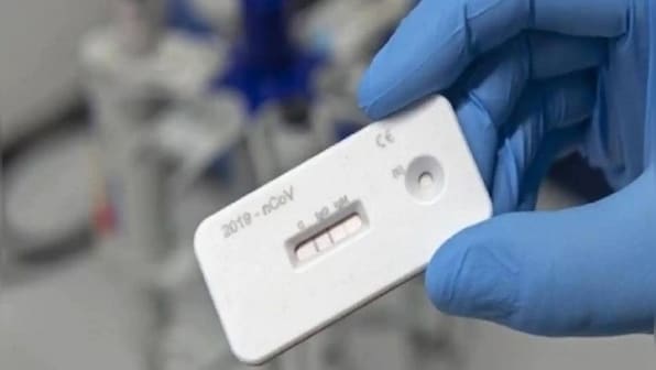 The truth behind Boston University’s new COVID strain with 80% kill rate