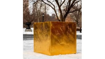 Gold cube worth $11.7 million appeared in New York's Central Park; here's what happened