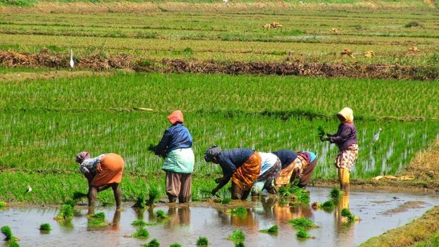India’s agricultural exports rose remarkably despite COVID-19, may cross $50 bn in 21-22 India’s agricultural exports rose remarkably despite COVID-19, may cross $50 bn in 21-22