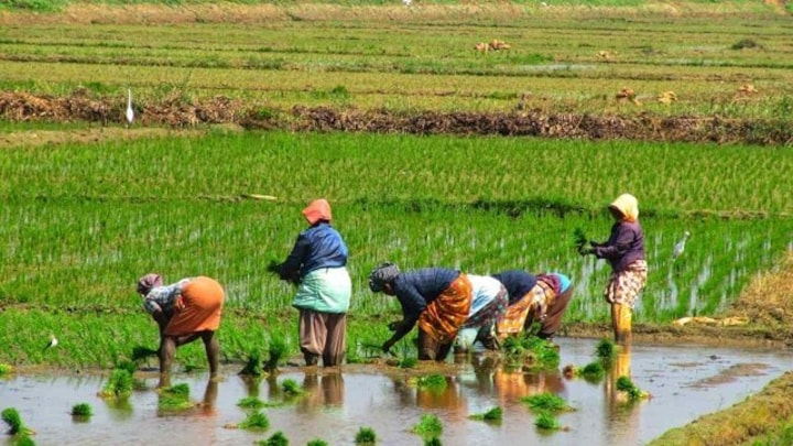 India’s agricultural exports rose remarkably despite COVID-19, may cross $50 bn in 21-22