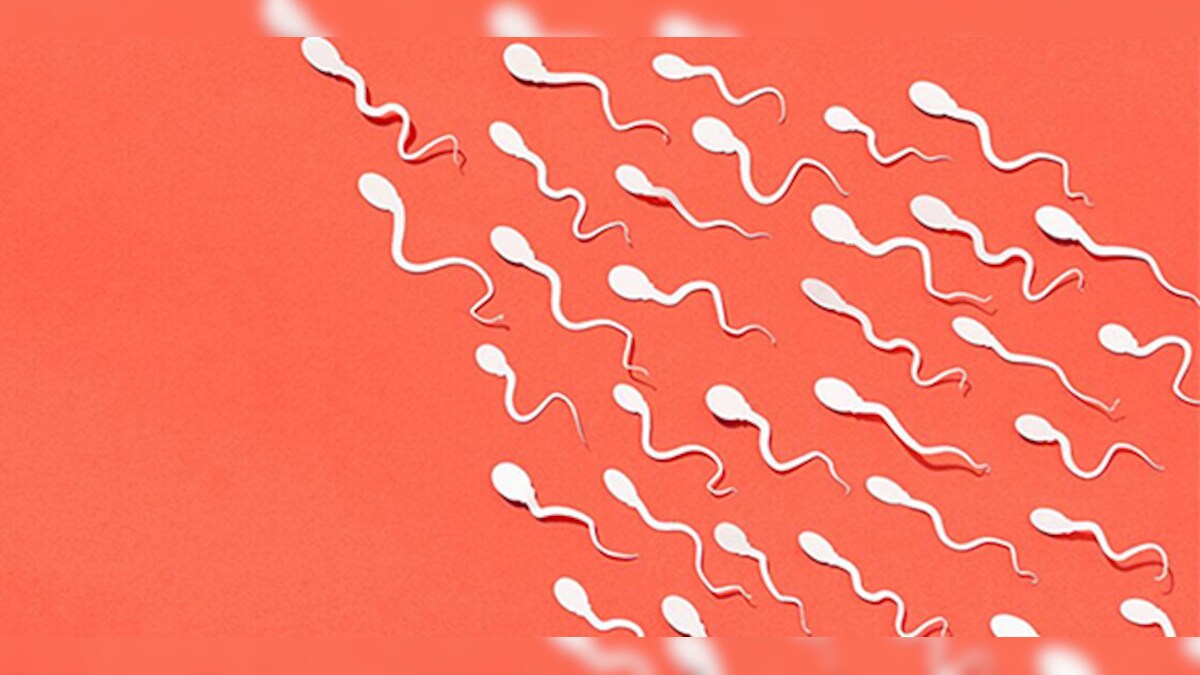 Best Semen Volume Pills: Top 5 Sperm Enhancers in 2022 – Firstpost