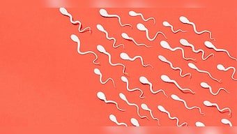 Best Semen Volume Pills: Top 5 Sperm Enhancers in 2022