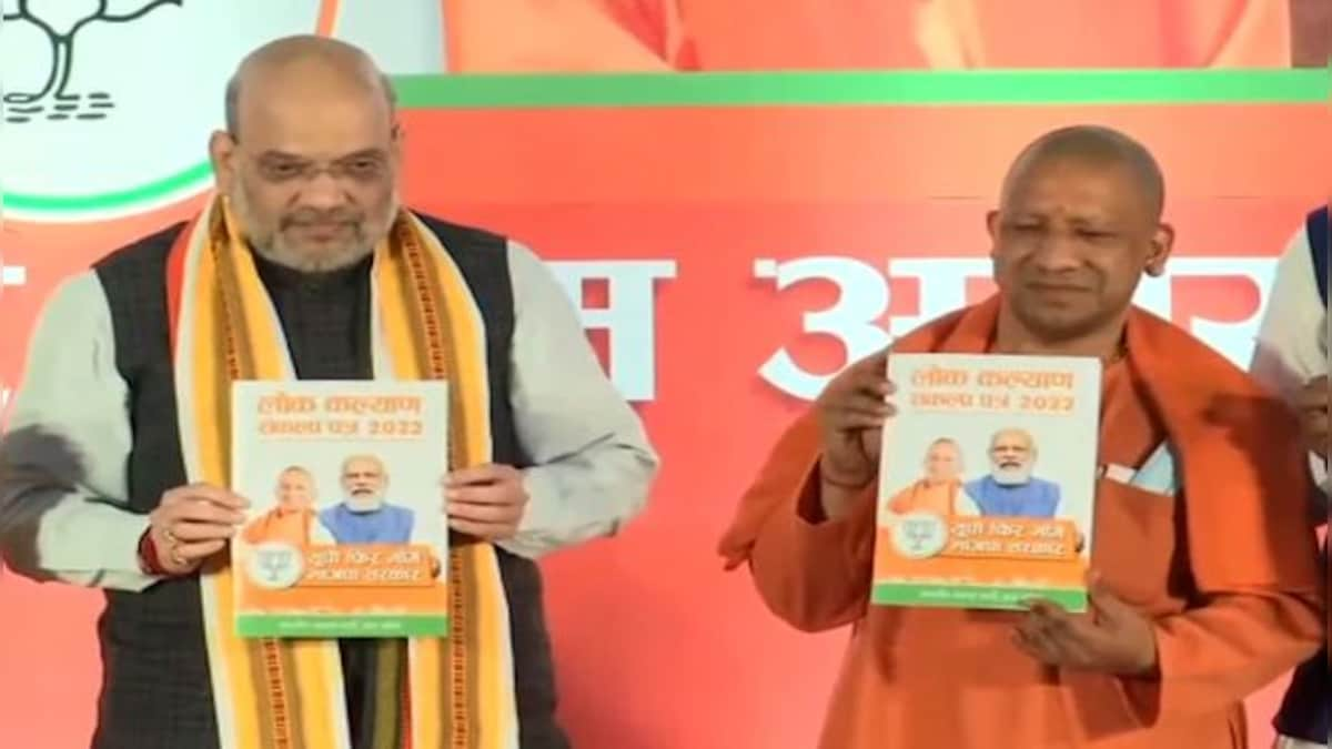 UP Assembly polls: BJP’s manifesto promises free power for irrigation, 3 crore jobs and 10 years jail, Rs 1 lakh fine in Love Jihad cases