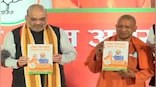 UP Assembly polls: BJP’s manifesto promises free power for irrigation, 3 crore jobs and 10 years jail, Rs 1 lakh fine in Love Jihad cases