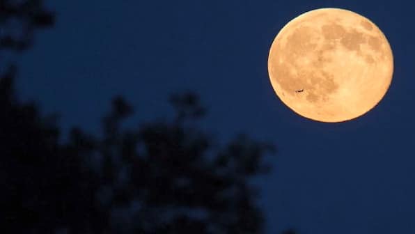 NASA invites people to send their name to the Moon aboard Artemis I, 'where is the gate?' asks internet