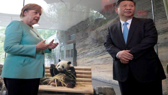 File image of China's president Xi Jinping and German chancellor Angela Merkel watch Jiao Qing, one of the two new pandas during the welcoming ceremony for two panda bears at the Zoologischer Garten zoo in Berlin. AFP