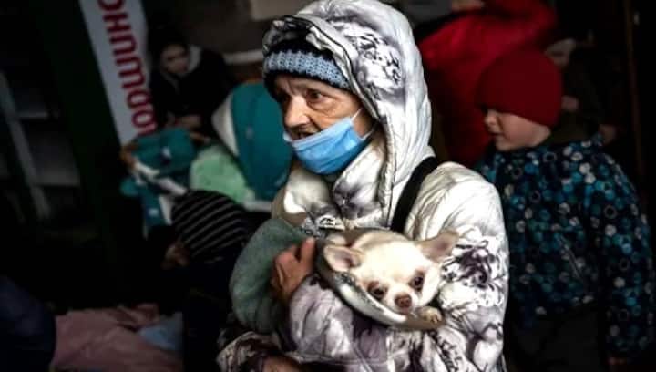 People struggle to keep their pets safe as Russia continues to pummel Ukraine