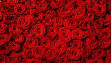 Rose Day 2022: Interesting ways to celebrate this special day with your partner amid COVID-19 restrictions