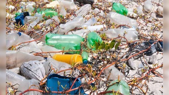 Watch: Mumbai's Mahim beach turns into garbage dump as plastic washes up on shore