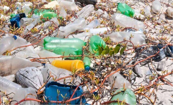 Watch: Mumbai's Mahim beach turns into garbage dump as plastic washes up on shore