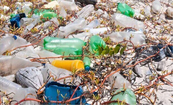 Watch: Mumbai's Mahim beach turns into garbage dump as plastic washes up on shore Watch: Mumbai's Mahim beach turns into garbage dump as plastic washes up on shore