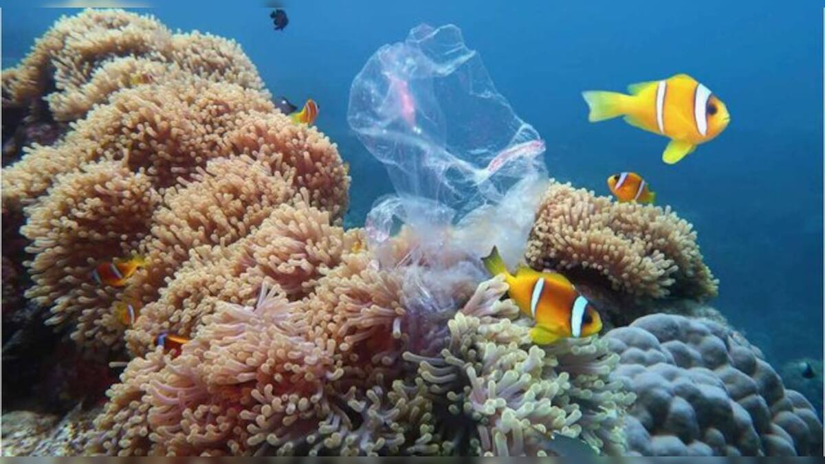 Overfishing fix needs more than money; a look at the problem – Firstpost